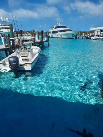 House 2 bedrooms, with jacuzzi