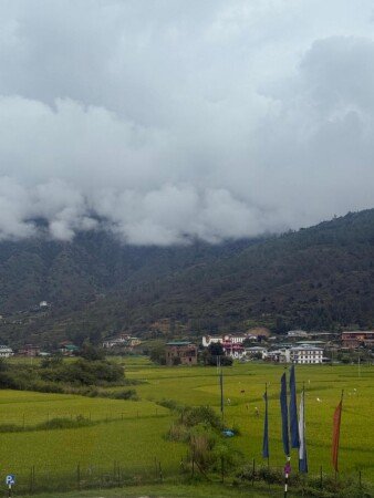 Apartment 7 guests, with wifi