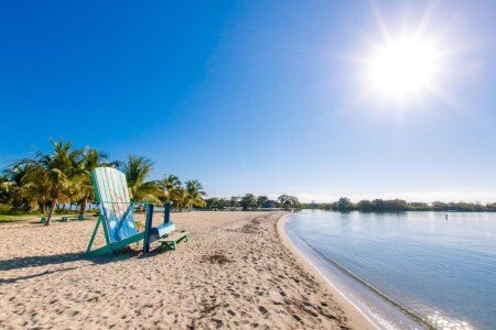Apartment 8 guests, with gym