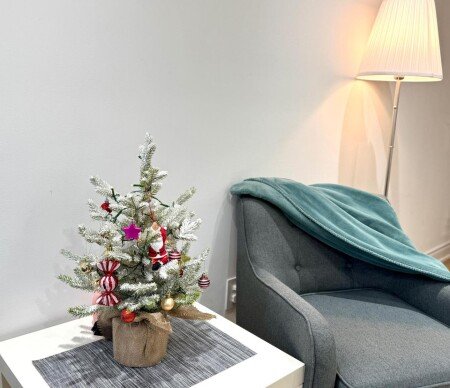 Apartment 2 bedrooms, with garden