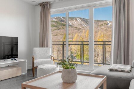 Appartement 1 chambre, avec piscine