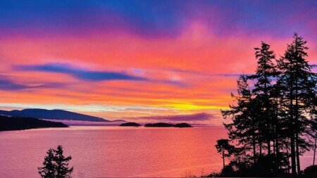 Apartment 2 bedrooms, with garden