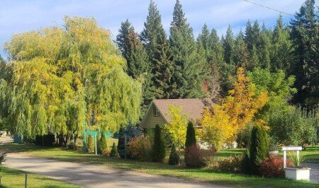 Chalet 3 bedrooms, with air conditioning