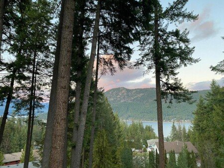 Bed and breakfast 1 chambre, avec wifi