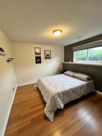 Apartment 1 bedroom, with garden