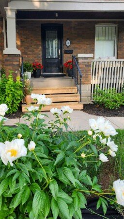 Apartment 1 bedroom, with garden
