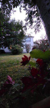 Bed and breakfast 3 guests, with garden