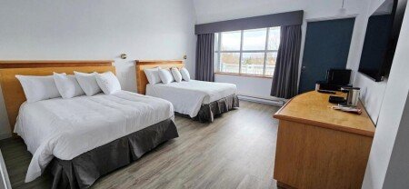 Appart'Hotel 8 voyageurs, avec jardin