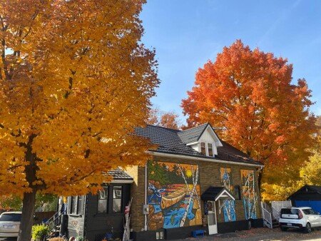 Bed and breakfast 1 bedroom, with air conditioning