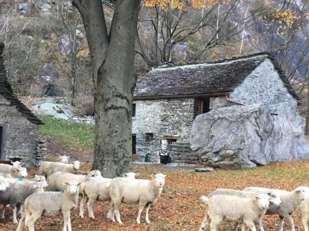 Bed and breakfast 2 camere, con giardino