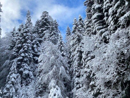 Studio 2 chambres, avec wifi