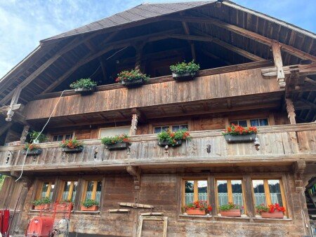 Appartement 1 chambre, avec jardin