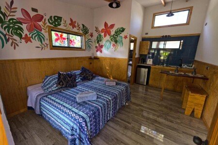 Appartement 2 voyageurs, avec jardin