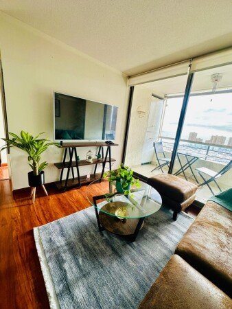 Apartamento 1 habitación, con aire acondicionado
