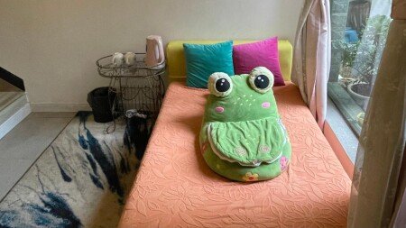 Bed and breakfast 1 chambre, avec parking