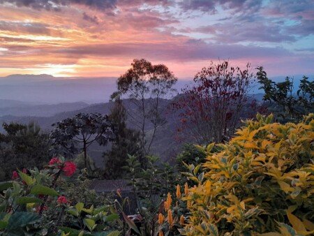 Bed and breakfast 6 huéspedes, con gimnasio