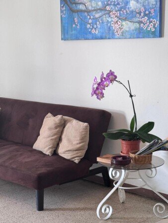 Apartamento 1 habitación, con desayuno