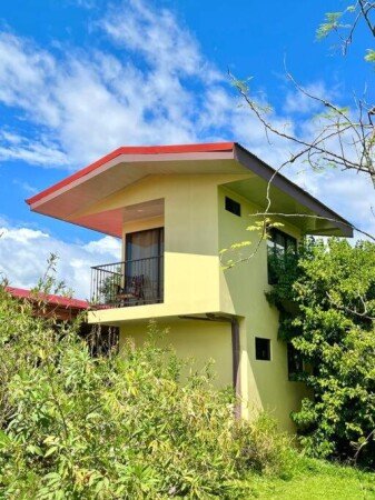 Apartamento 1 habitación, con jardín