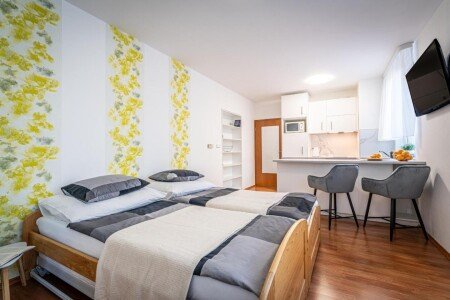 Wohnung 1 Schlafzimmer, mit WLAN