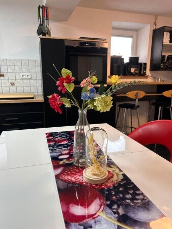 Apartment 1 bedroom, with wifi