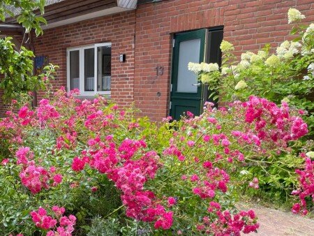 Wohnung 1 Schlafzimmer, mit Garten
