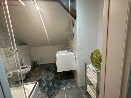 Appartamento 1 camera, con giardino