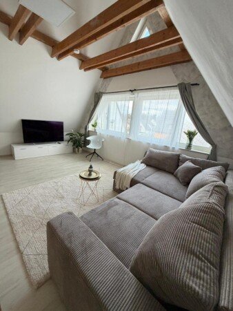 Loft 1 chambre, avec climatisation
