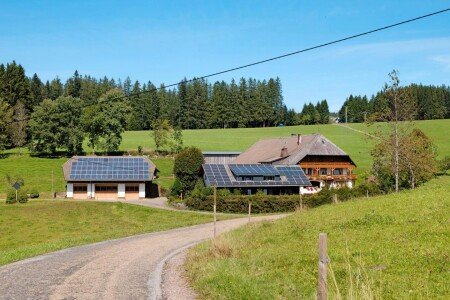 House 7 guests, with garden