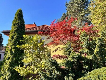 Ferienhaus 7 Gäste, mit Garten