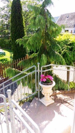 Wohnung 1 Schlafzimmer, mit Garten