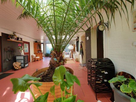 Wohnung 1 Schlafzimmer, mit Garten