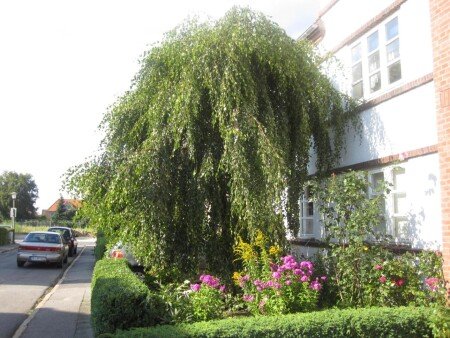Wohnung 2 Gäste, mit Garten