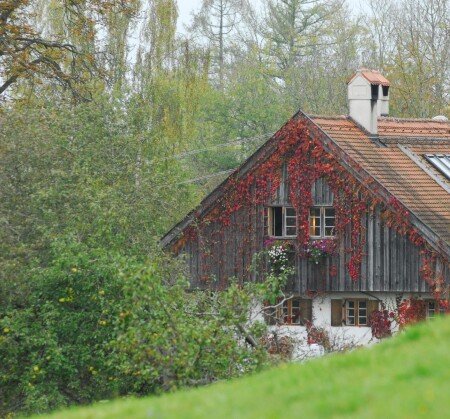 Wohnung 4 Gäste, mit Garten
