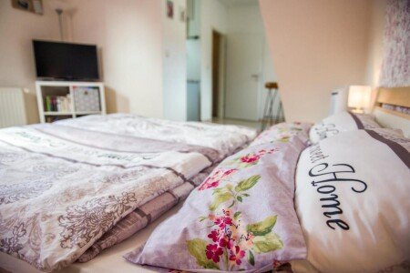 Wohnung 1 Schlafzimmer, mit WLAN