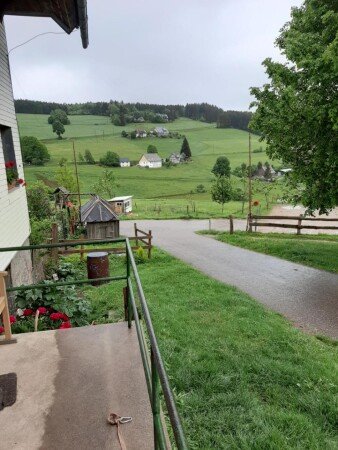 Appartamento 2 camere, con giardino