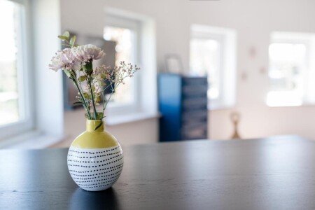 Wohnung 1 Schlafzimmer, mit Garten