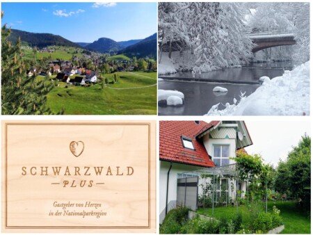 Wohnung 1 Schlafzimmer, mit Garten