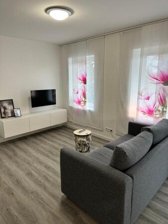 Apartamento 1 habitación, con jardín