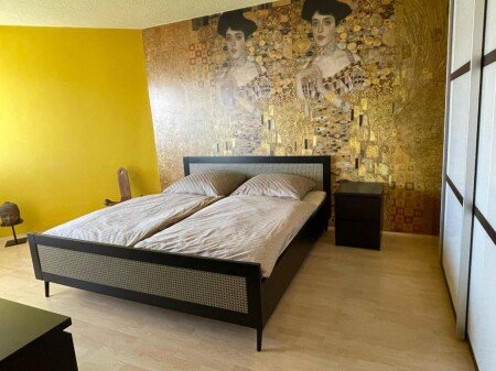 Apartment 1 bedroom, with wifi