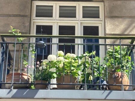 Appartement cozy, 2 chambres, avec wifi