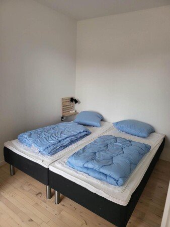 Appartamento 1 camera, con giardino