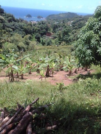 Camping / Mobil Home 1 chambre, avec jardin