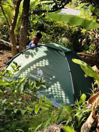 Camping / Mobil Home 1 chambre, avec jardin