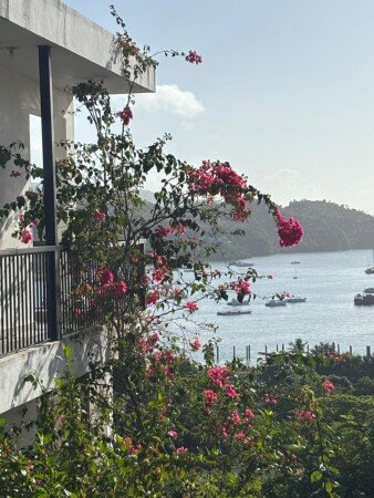 Apartamento 6 huéspedes, con jardín