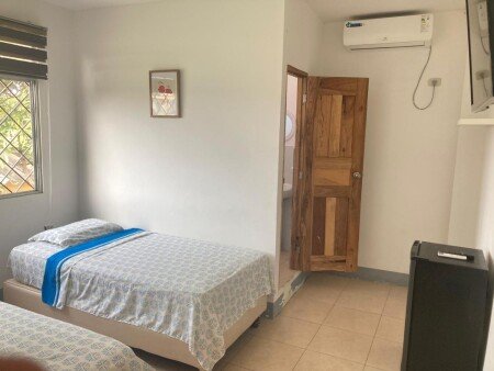 Apartamento 1 habitación, con jardín