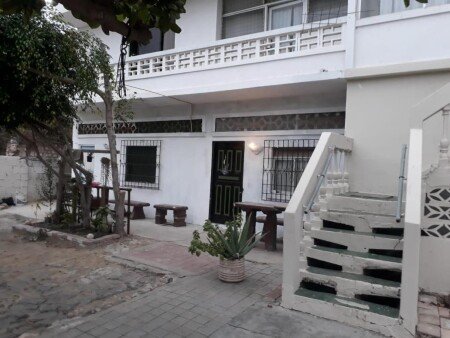 Apartamento 1 habitación, con jardín