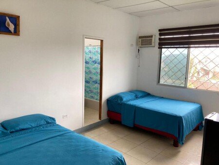 Apartamento 1 habitación, con jardín