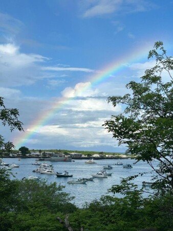 Maison 2 chambres, avec jardin