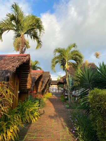 Hotel con jardín