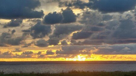 Bed and breakfast 1 camera, con giardino